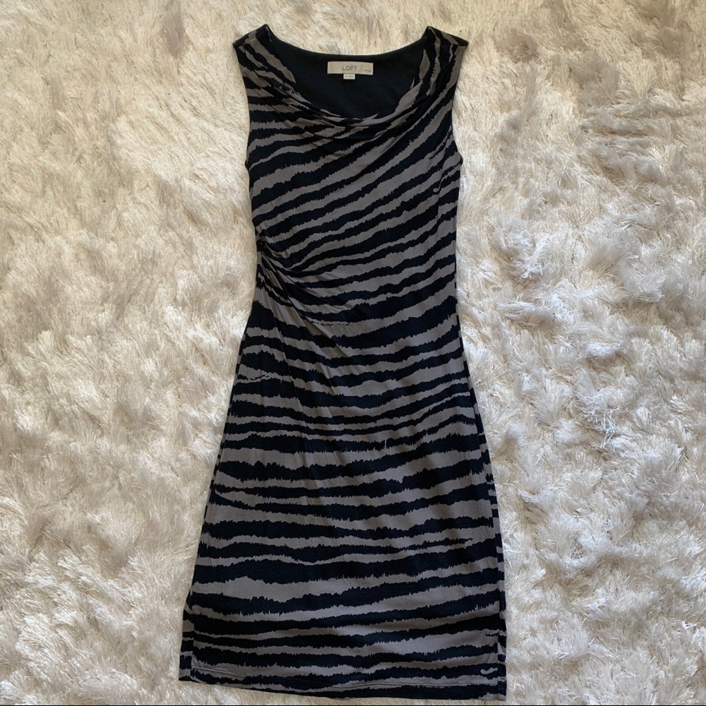Loft zebra stripe dress